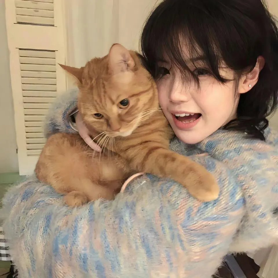 哈克贝利·芬历险记